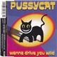 Pussycat - Wanna Drive You Wild